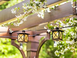 Überdachung & Pergola-Bild